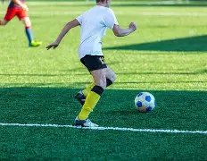 冰缘之盟,博鱼体育官网,博鱼体育app,博鱼体育官网,博鱼体育app,博鱼体育APP下载